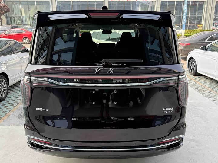 Hongqi HQ9 PHEV 2024 2.0 T 4 WD — фото 5