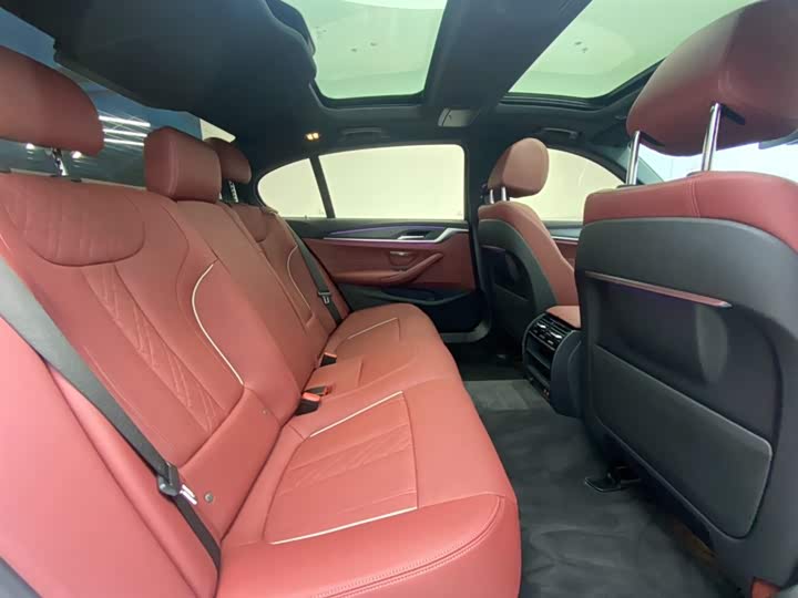 BMW 5-Series 2021 530 Li Leading M — фото 24
