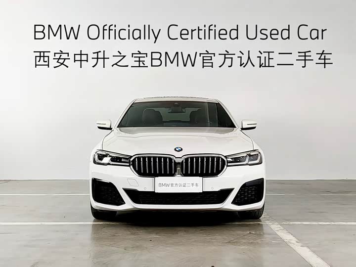 BMW 5-Series 2021 530 Li Leading M — фото 2