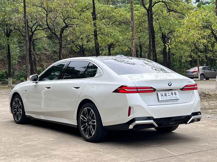 BMW 5-Series 2024 530 Li Leading M — фото 9