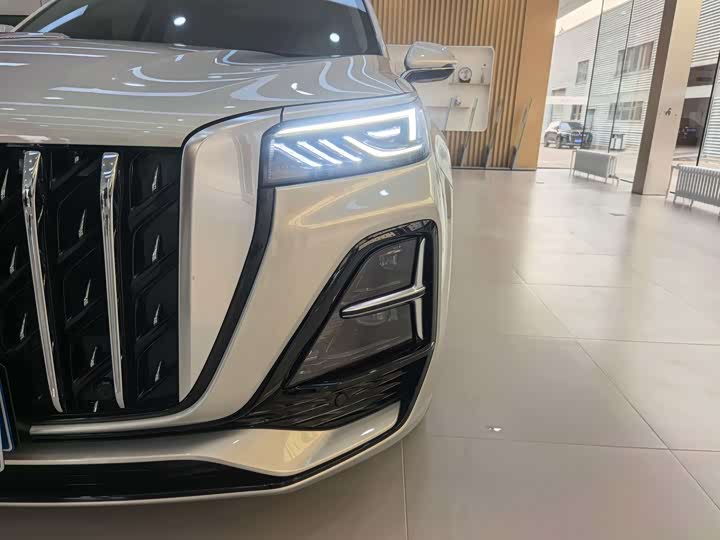 Hongqi HS5 2023 2.0 T 4 WD Pro — фото 8
