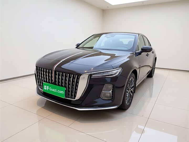 Hongqi H5 2024 2.0 T AT