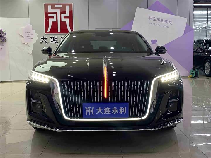 Hongqi H5 2024 2.0 T AT — фото 2