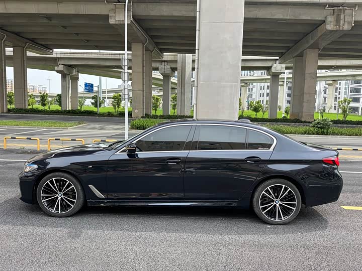 BMW 5-Series 2020 530 Li Leading M — фото 5