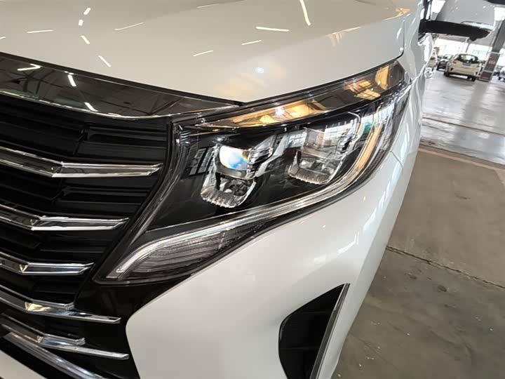 Trumpchi M8 2023 390 T — фото 24