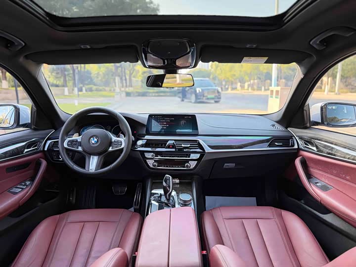 BMW 5-Series 2019 530 Li Leading M — фото 5