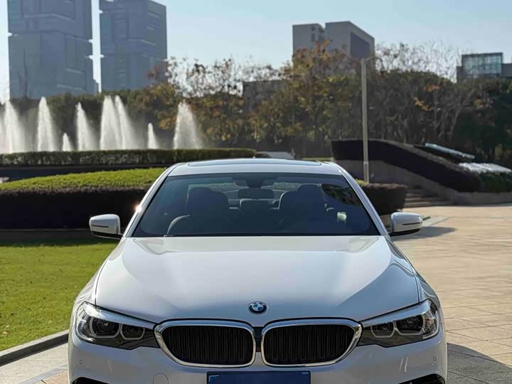 BMW 5-Series 2019 530 Li Leading M — фото 2