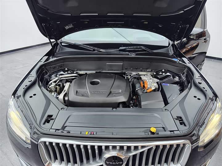 Volvo XC90 Hybrid 2022 E Hybrid T 8 7 — фото 13