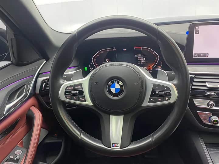 BMW 5-Series 2021 530 Li Leading M — фото 14