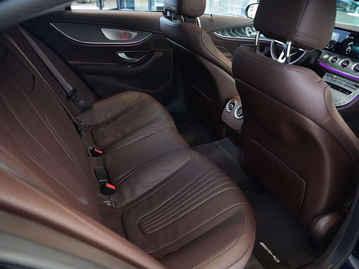 Mercedes-Benz CLS 2021 CLS 300 Luxury — фото 6