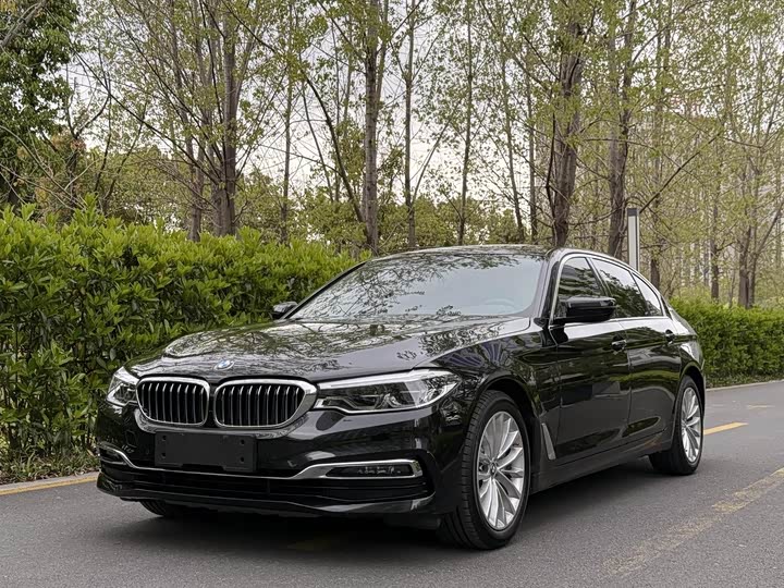 BMW 5-Series 2019 530 Le — фото 1