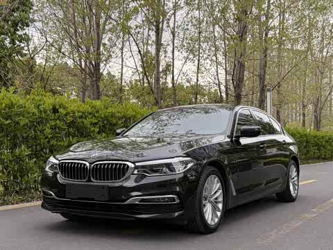 BMW 5-Series 2019 530 Le — фото 10