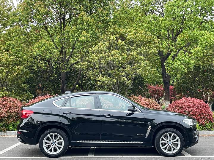 BMW X6 2017 x Drive 35i Leading — фото 4