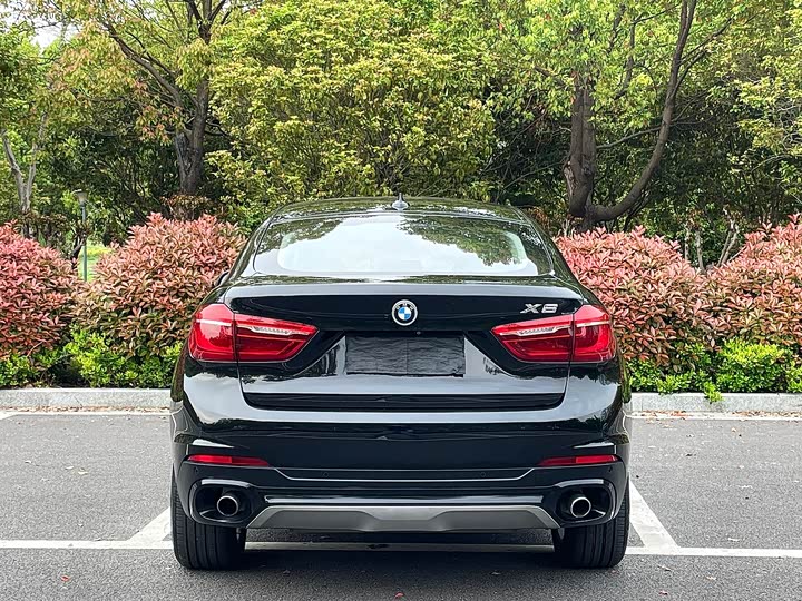 BMW X6 2017 x Drive 35i Leading — фото 16