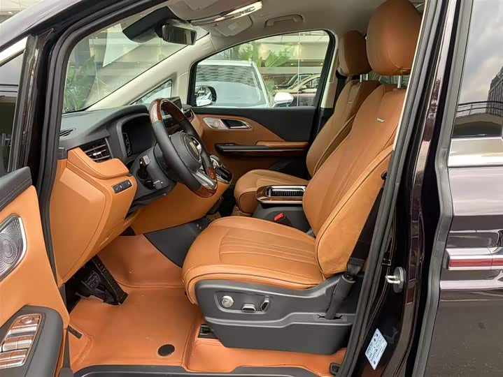 Hongqi HQ9 PHEV 2024 2.0 T 4 WD — фото 31