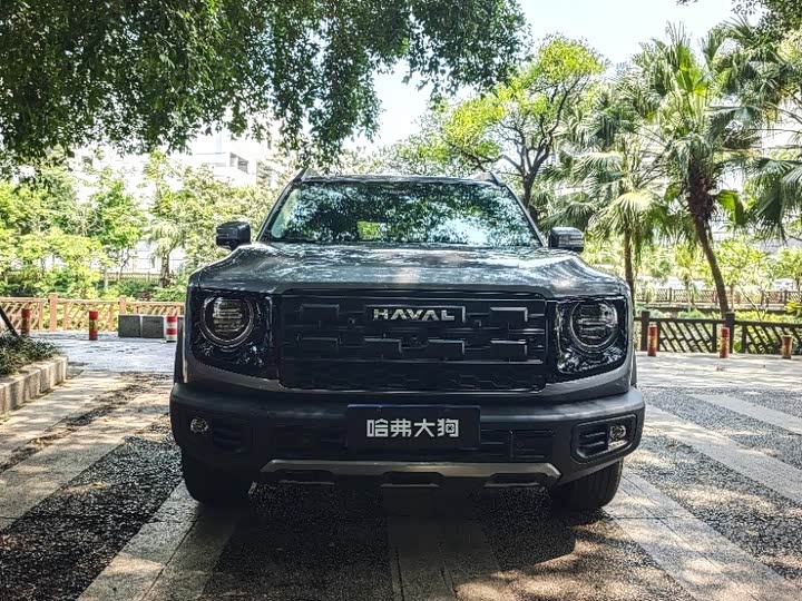 Haval Dargo — фото 7