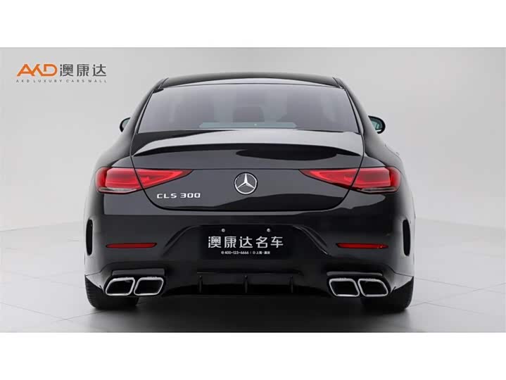 Mercedes-Benz CLS 300/2.0 T/23 / — фото 4