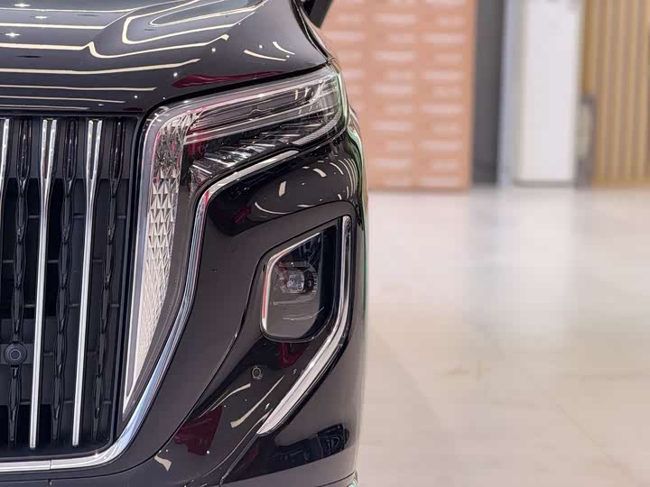 Hongqi HQ9 PHEV 2024 2.0 T 4 WD — фото 3