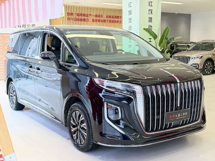 Hongqi HQ9 PHEV 2024 2.0 T 4 WD — фото 6