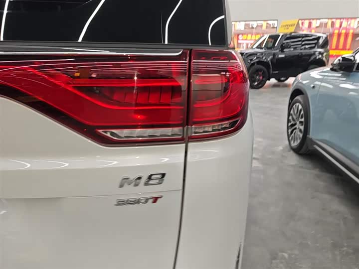 Trumpchi M8 2023 390 T — фото 8