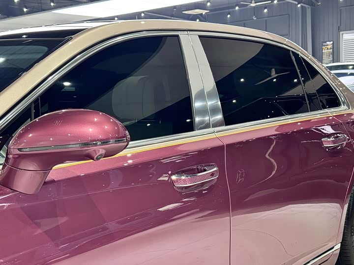 Hongqi Guoya — фото 13