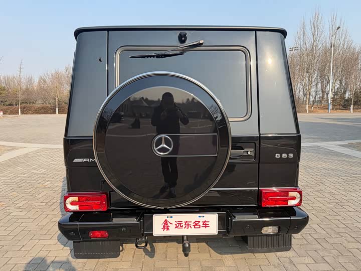Mercedes-Benz G-Class 2016 AMG G 63 Edition 463 — фото 7