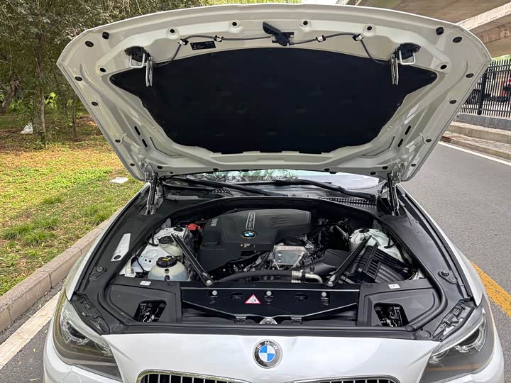 BMW 5-Series 2017 525 Li Leading — фото 15