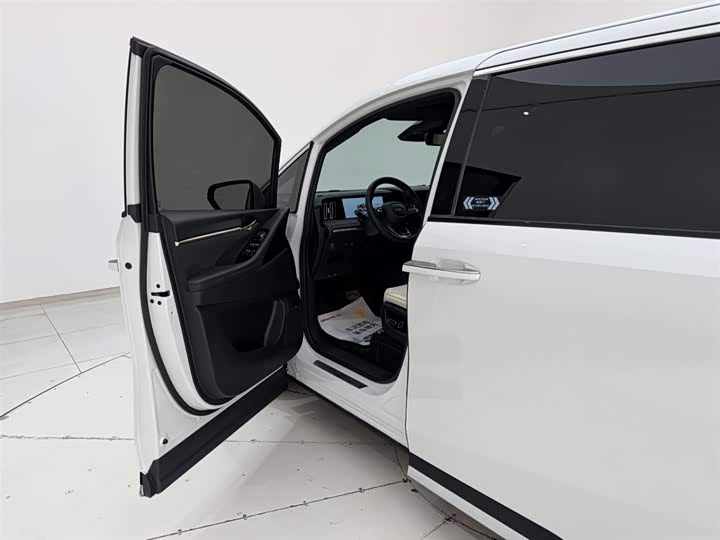 Trumpchi M8 2023 400 T — фото 13