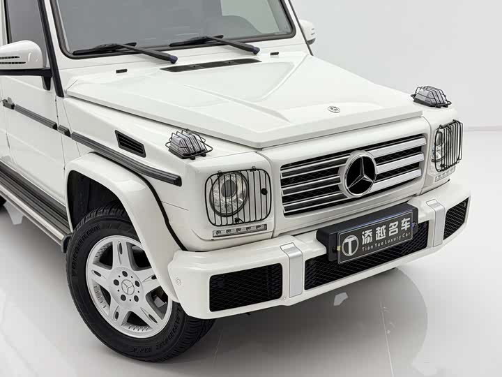 Mercedes-Benz G-Class 2017 G 350 d — фото 13