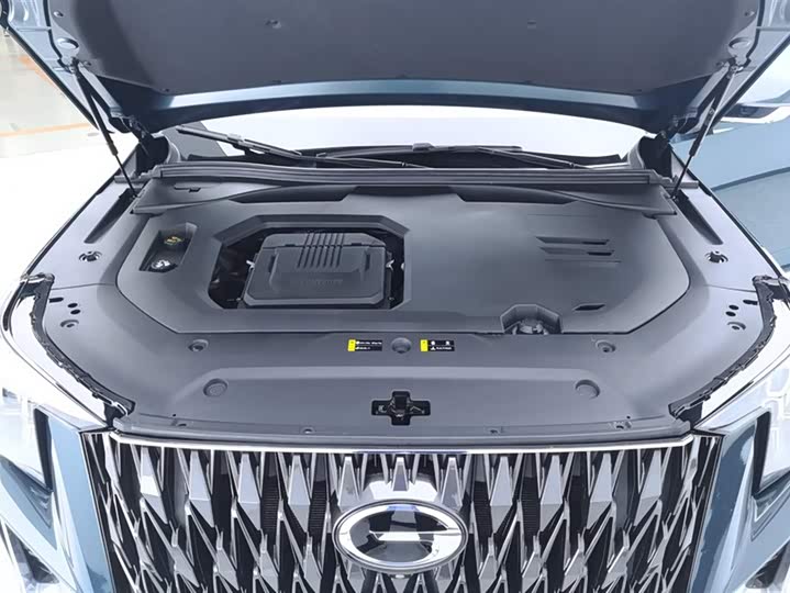 Trumpchi GS8 2022 2.0 TM 2 WD ( ) — фото 10