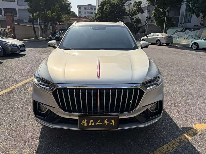 Hongqi HS5 2019 2.0 T 4 WD — фото 2