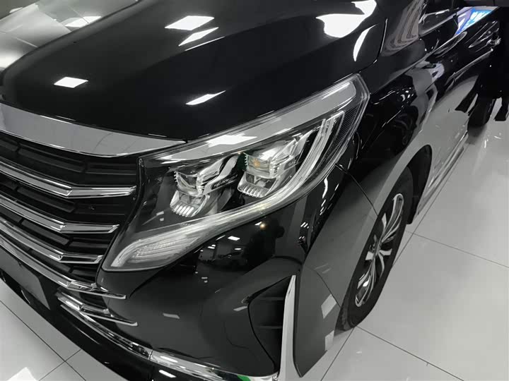Trumpchi M8 2023 390 T — фото 18