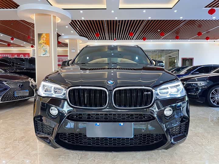 BMW X5 M 2015 X 5 M — фото 2