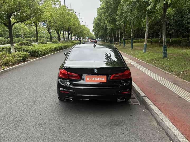 BMW 5-Series 2019 530 Li Leading M — фото 11