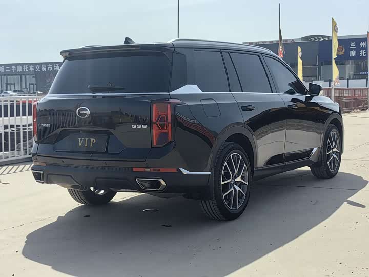 Trumpchi GS8 2024 2.0 TGDI 2 WD 7 — фото 6