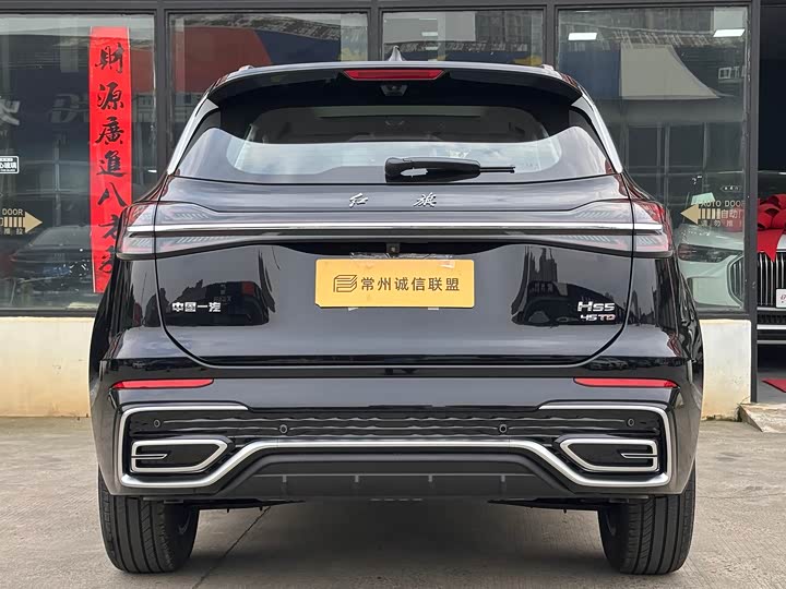 Hongqi HS5 2025 2.0 T 2 WD Pro — фото 15