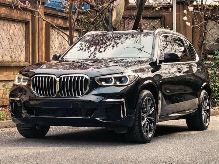 BMW X5 2022 x Drive 30 Li M — фото 1