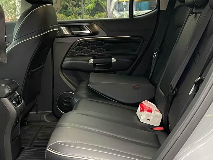 Tank 300 2021 2.0 T — фото 6