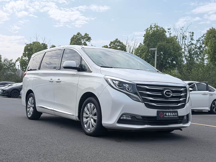 Trumpchi M8 2018 320 T — фото 3