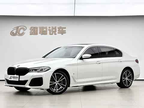 BMW 5-Series 2021 530 Li Leading M — фото 18
