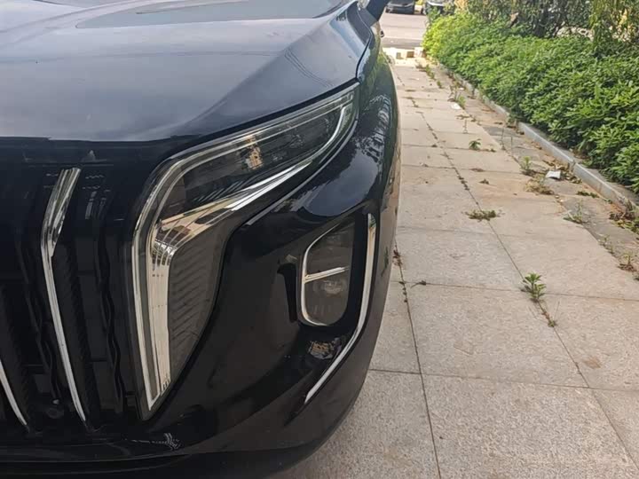 Hongqi HS7 PHEV 2024 2.0 T PHEV 4 WD 7 — фото 24