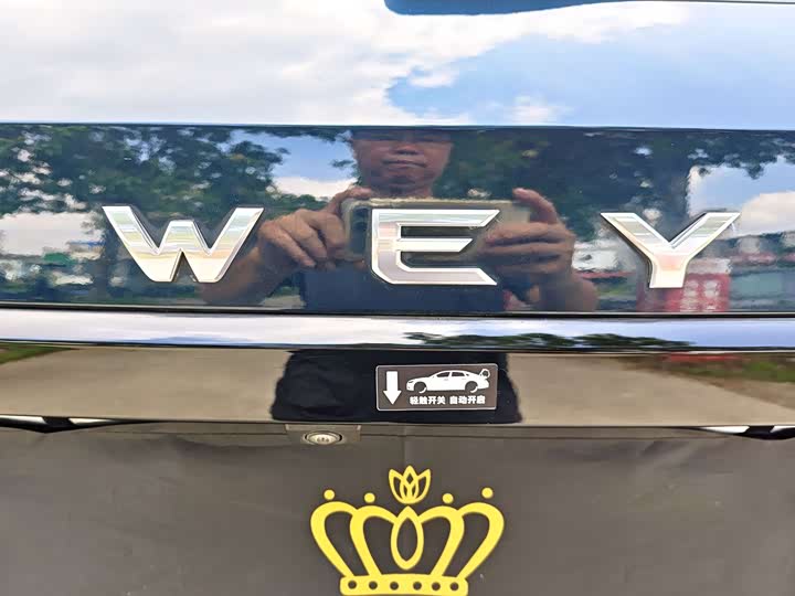 Wey VV7 2020 2.0 T Flagship — фото 29