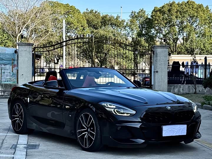 BMW Z 4 2019 s Drive 25i M — фото 4
