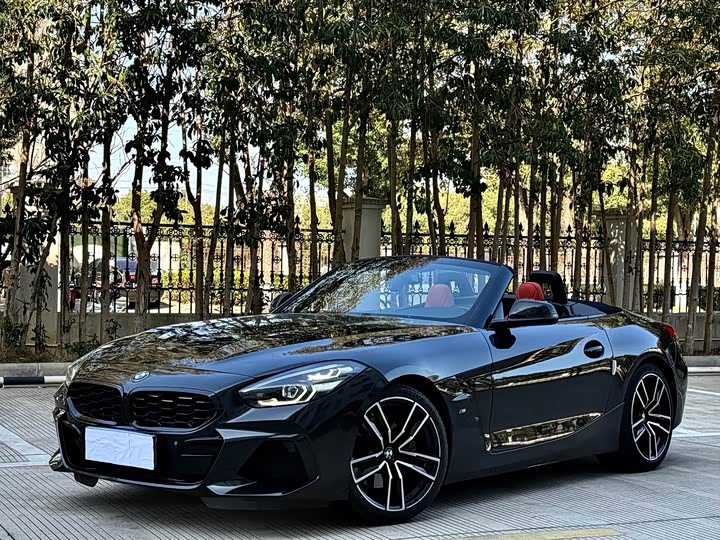 BMW Z 4 2019 s Drive 25i M — фото 15