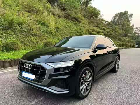 Audi Q8 2022 45 TFSI — фото 18