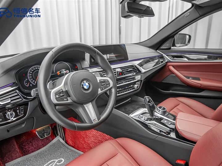 BMW 5-Series 2019 530 Li x Drive M — фото 12