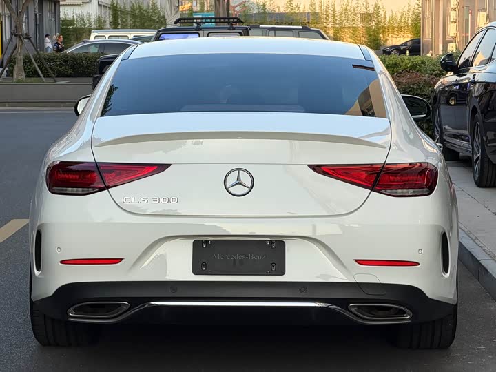 Mercedes-Benz CLS 2023 CLS 300 Luxury — фото 5
