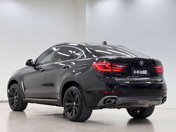 BMW X6 2018 x Drive 35i Leading — фото 5