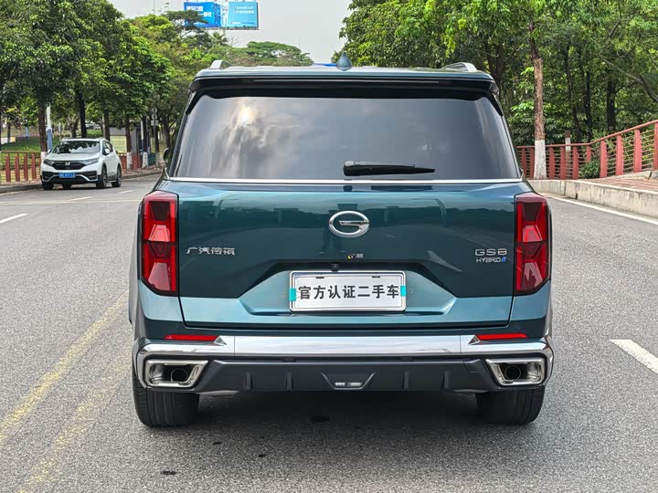Trumpchi GS8 2022 2.0 TM 2 WD ( ) — фото 9