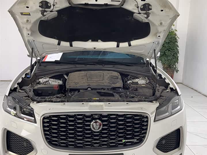 Jaguar F-PACE 2021 250 PS R-Dynamic S — фото 16